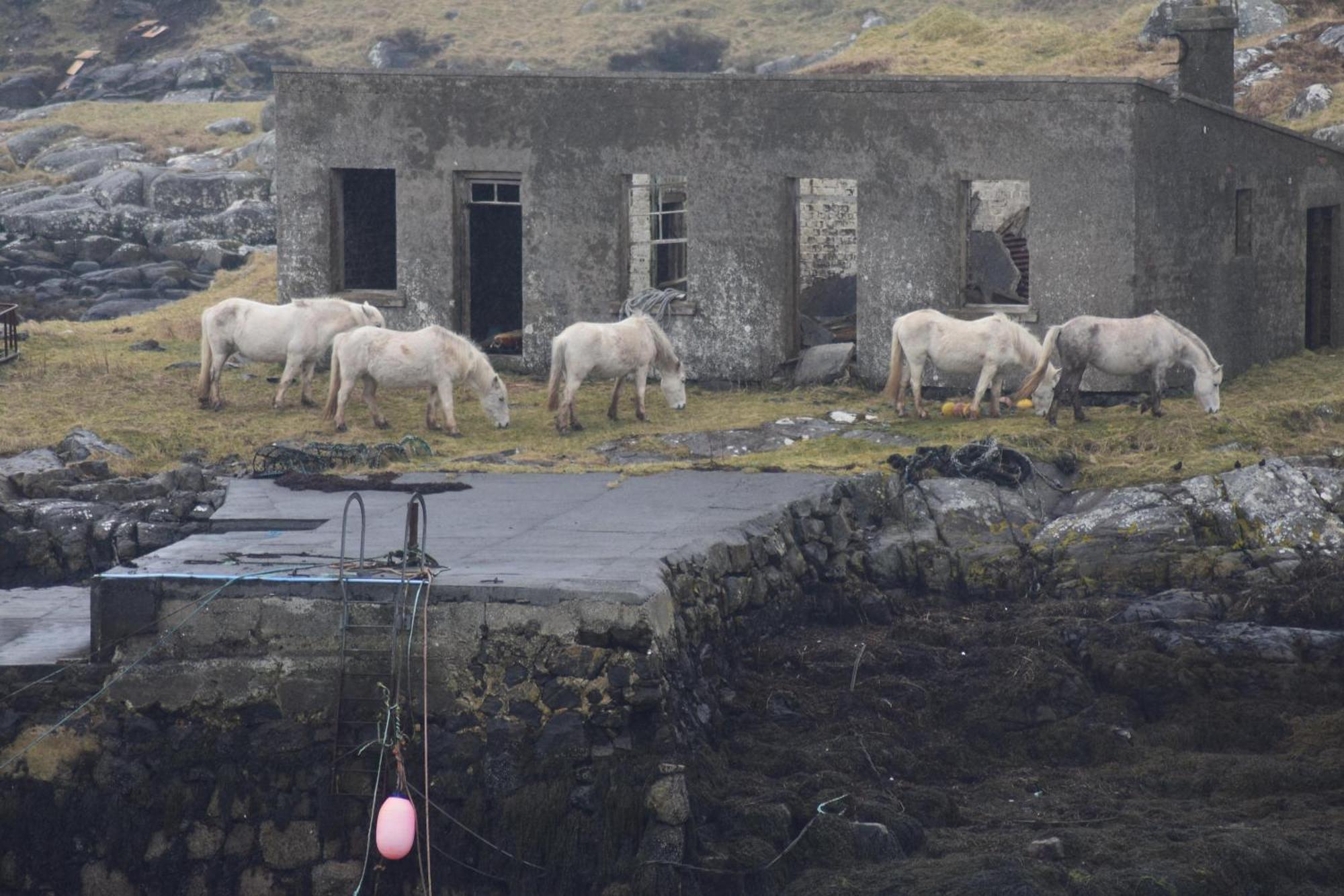 فيلا Glamping Pod For 2 Pod Beag Na Haun Eriskay المظهر الخارجي الصورة