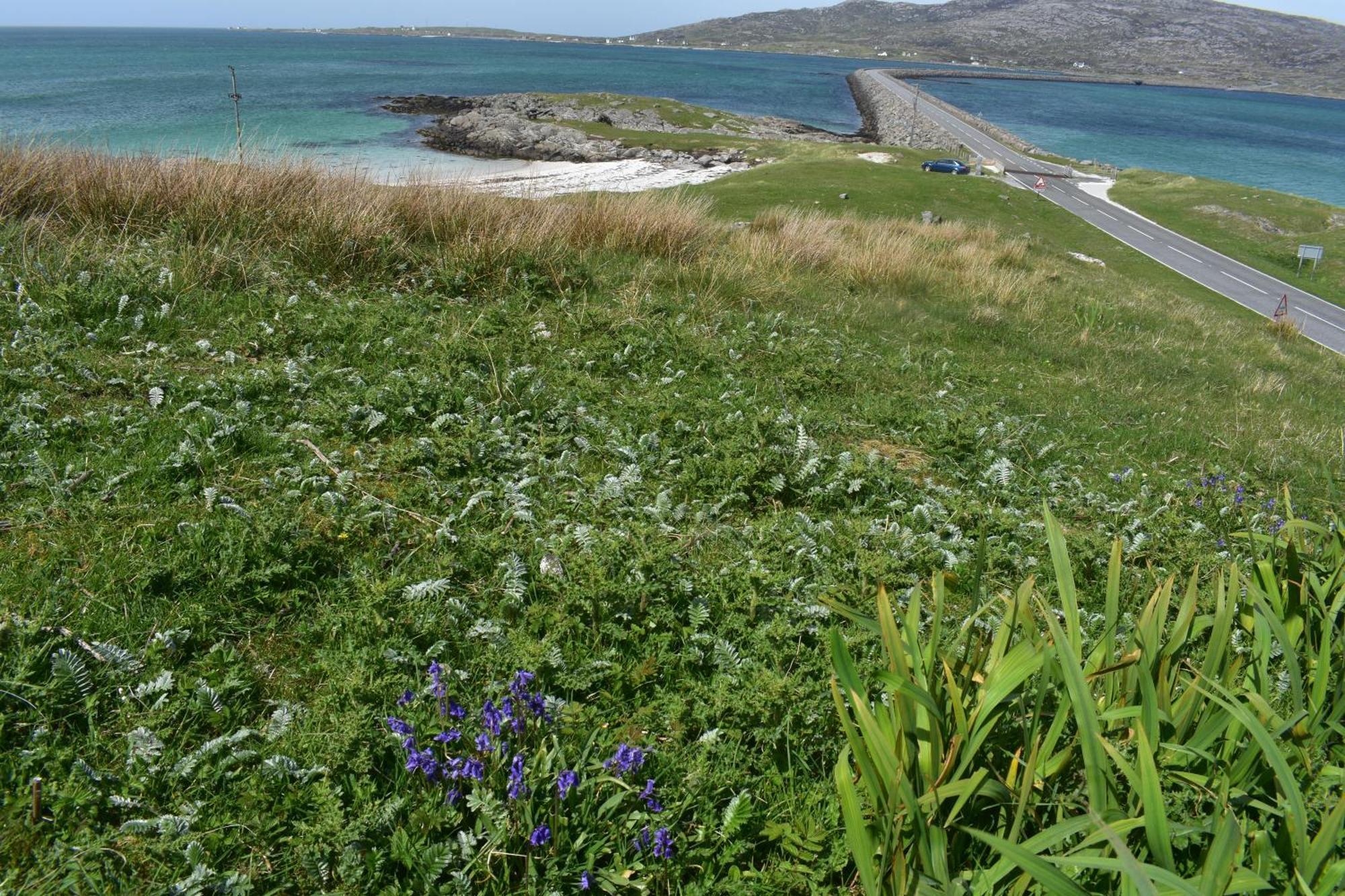 فيلا Glamping Pod For 2 Pod Beag Na Haun Eriskay المظهر الخارجي الصورة